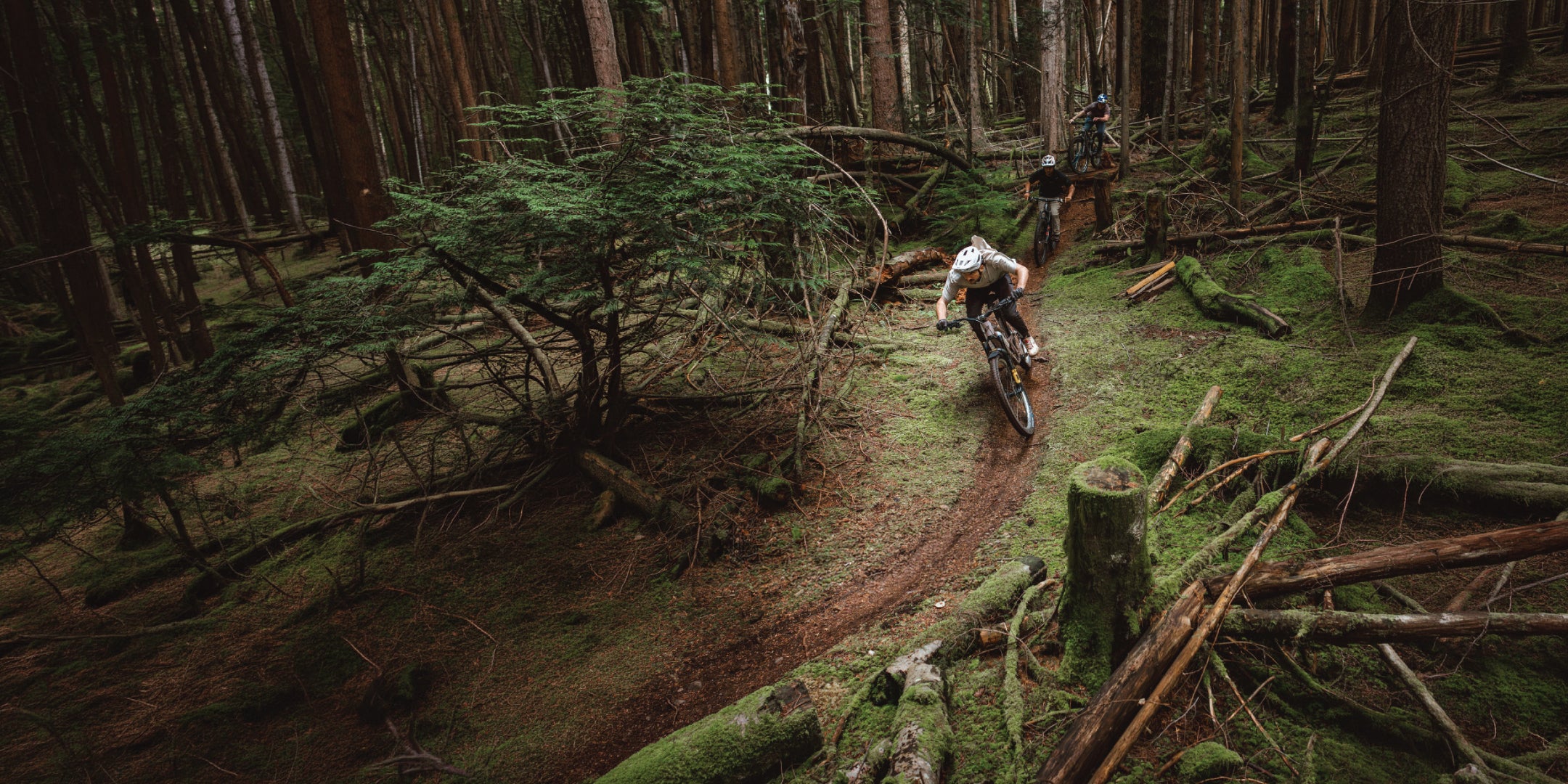 Build Your Ultimate Dream Ride